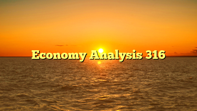 Economy Analysis 316