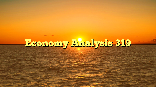 Economy Analysis 319